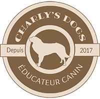 Charly's Dogs - éducateur canin - logo page d'accueil