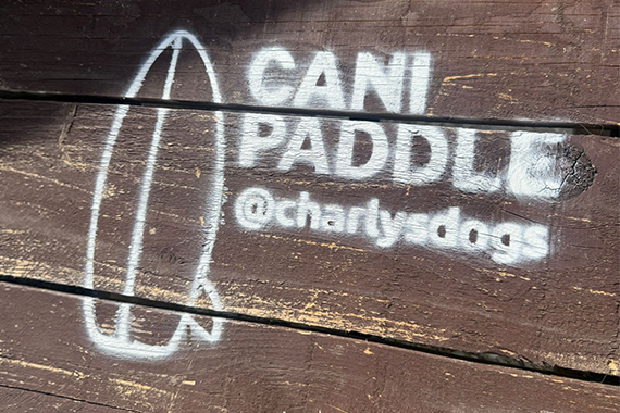 cani-paddle